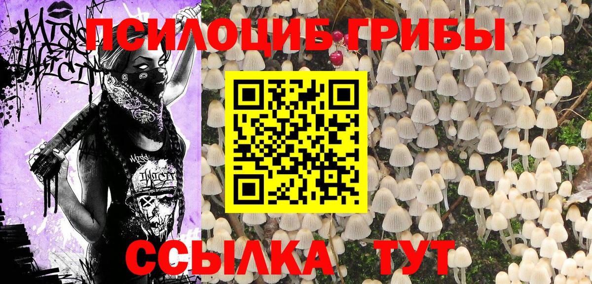 Галлюциногенные грибы GOLDEN TEACHER Нефтекумск